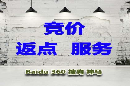搜索引擎营销（SEM）成功案例详解