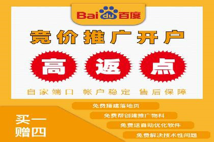 案例研究：SEM代运营服务公司的创新策略