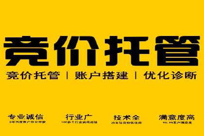 托管竞价sem全解析：某企业如何通过竞价提升业绩